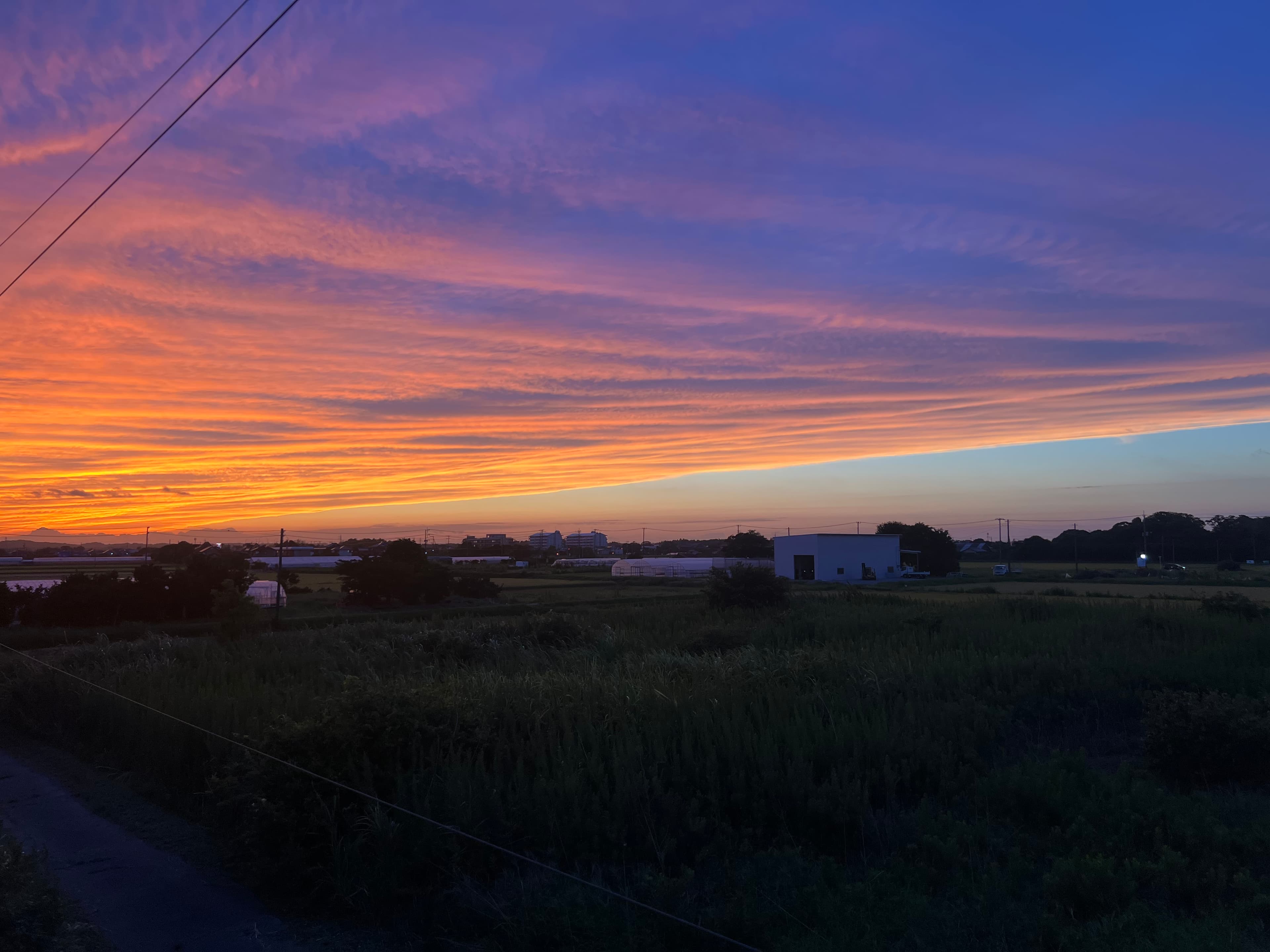 Cycling along the Chiba coast